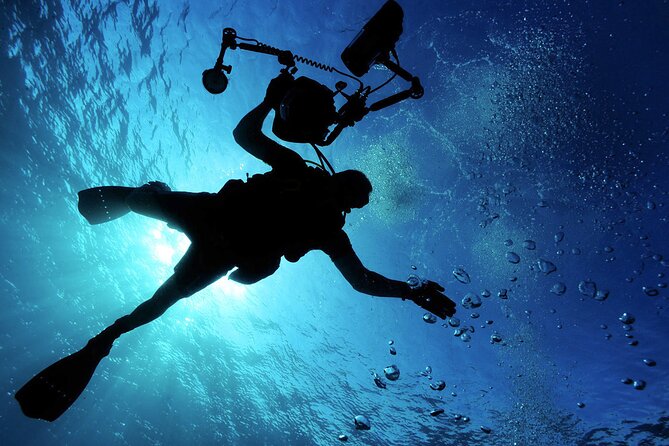 Qualified Diver 1 Tank Dive in Mykonos - Underwater conditions and what you might see