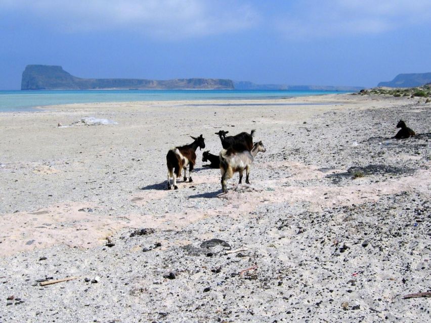 Rethymno: Gramvousa & Balos Lagoon Day Trip with Boat Ticket - Why this Rethymno day trip works