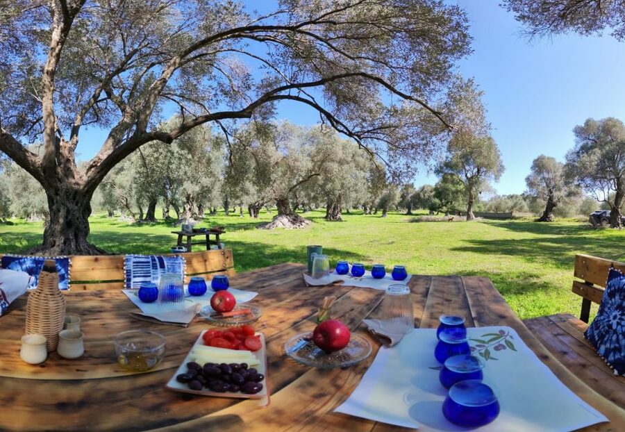 Rethymno: Olive Oil Tasting with Cretan Food Pairing - Is $107 a Good Value?