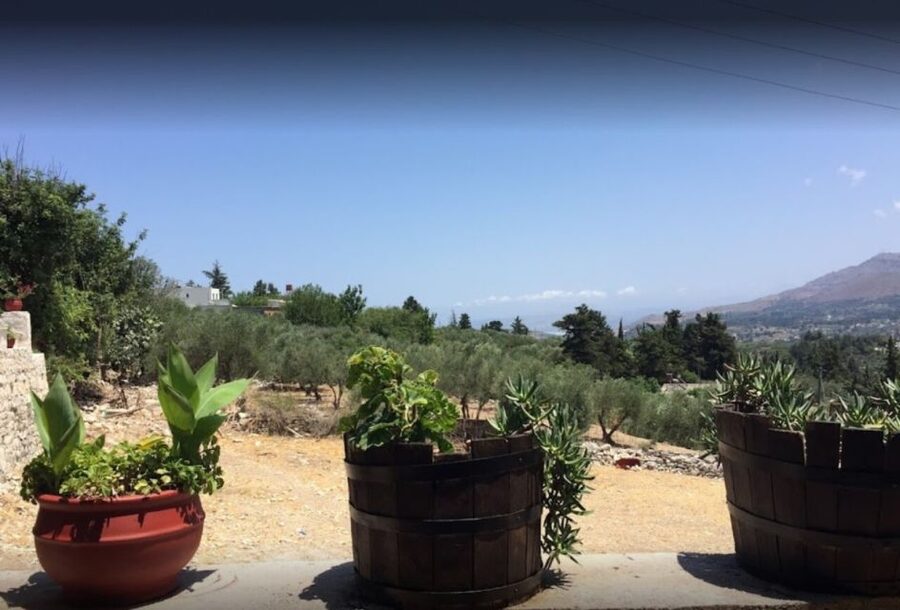 Rethymno: Private Winery & Olive Oil Tasting Tour with Lunch - Starting at the Kanakis olive oil mill