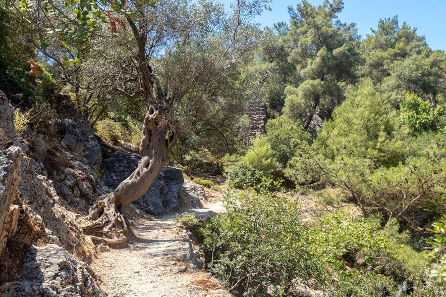 Rhodes: Butterfly Valley and Seven Springs Valley Day Trip - Seven Springs: the tunnel, lake, and dry-season surprises