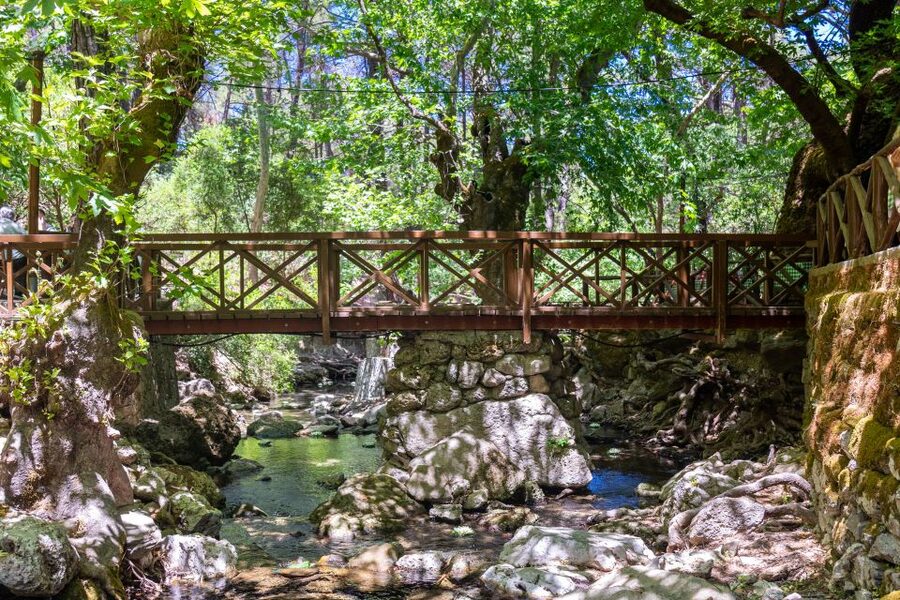 Rhodes: Butterfly Valley and Seven Springs Valley Day Trip - Walking conditions and what to pack