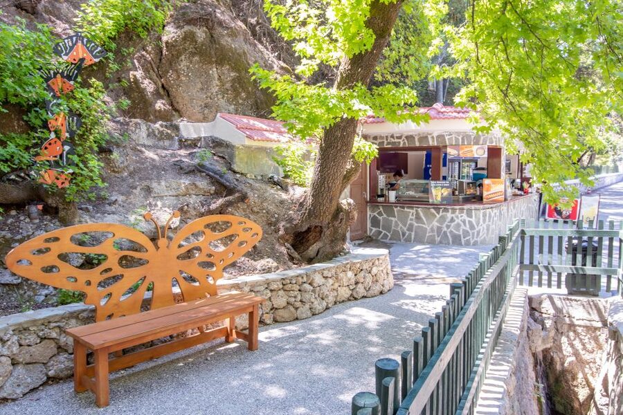 Rhodes: Butterfly Valley and Seven Springs Valley Day Trip - Is $34 good value for Rhodes?