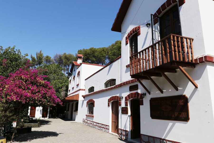 Rhodes: Butterfly Valley and Seven Springs Valley Day Trip - Should you book the Butterfly Valley and Seven Springs trip?