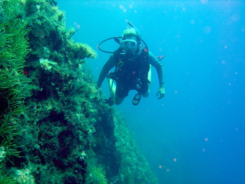 Rhodes: Diving Adventure for Beginners and Experts - Key points to know before you book