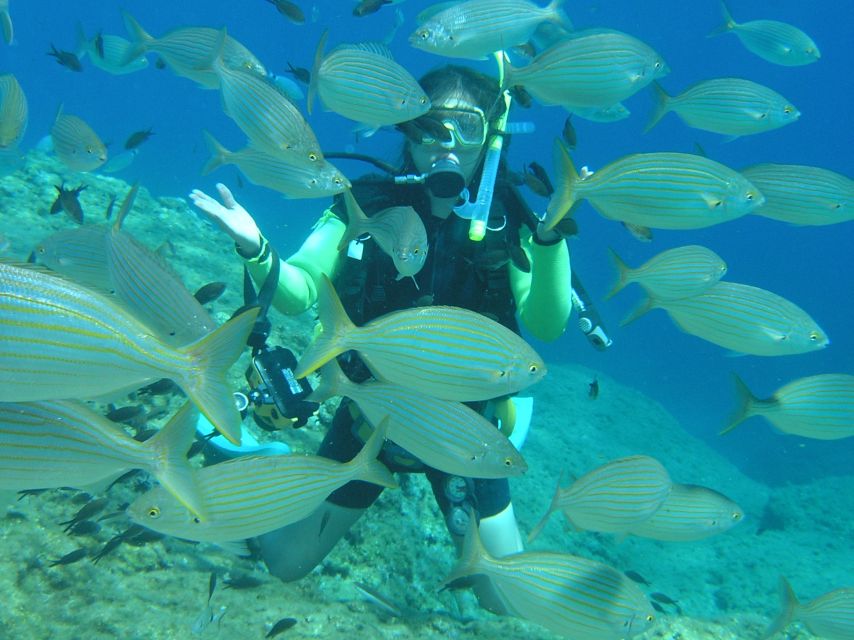 Rhodes: Diving Adventure for Beginners and Experts - What this Rhodes underwater outing is really like