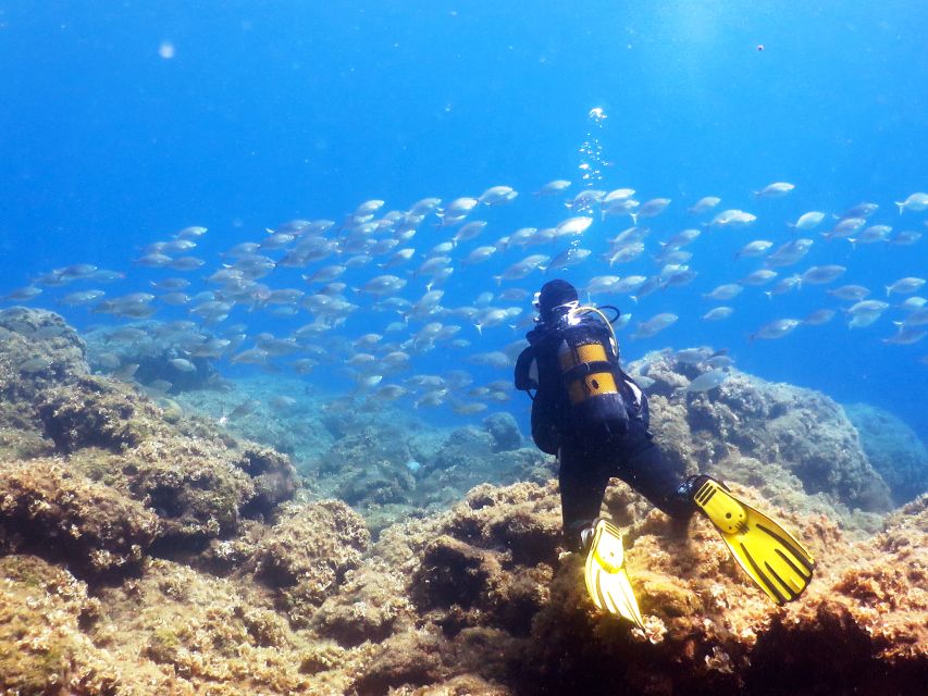 Rhodes: Diving Adventure for Beginners and Experts - The briefing makes the difference for beginners