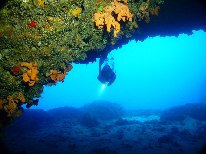 Rhodes: Diving Adventure for Beginners and Experts - Weather and season can change the whole plan