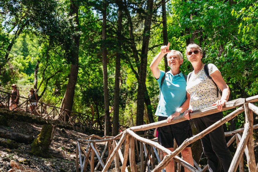 Rhodes: Filerimos Hill and Butterfly Valley Bus Trip - Should you book it?