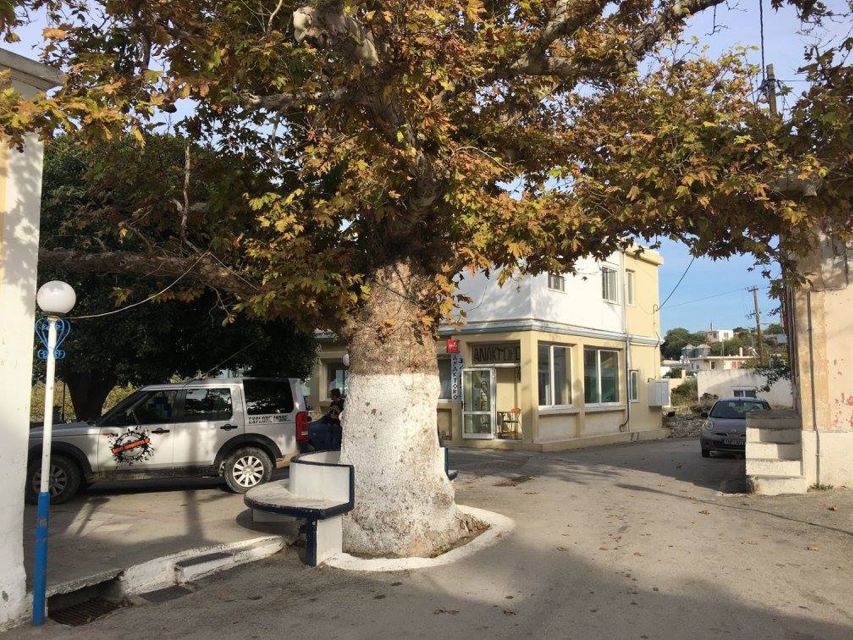Rhodes: Full–Day 4WD Northern Safari Tour - Key points at a glance