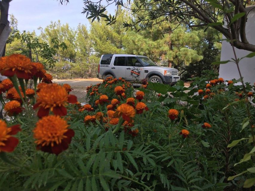 Rhodes: Full–Day 4WD Northern Safari Tour - Who should book this Rhodes excursion?