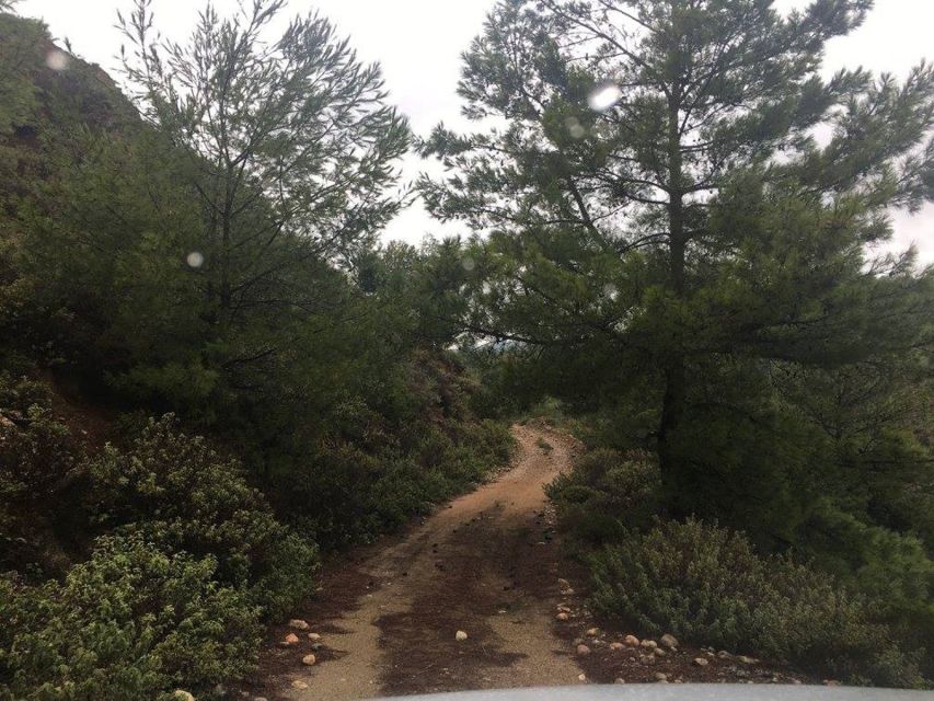 Rhodes: Full–Day 4WD Northern Safari Tour - The panoramic photo stops