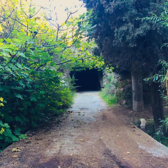 Rhodes: Full–Day 4WD Northern Safari Tour - Lunch under the plane trees in Kritinia