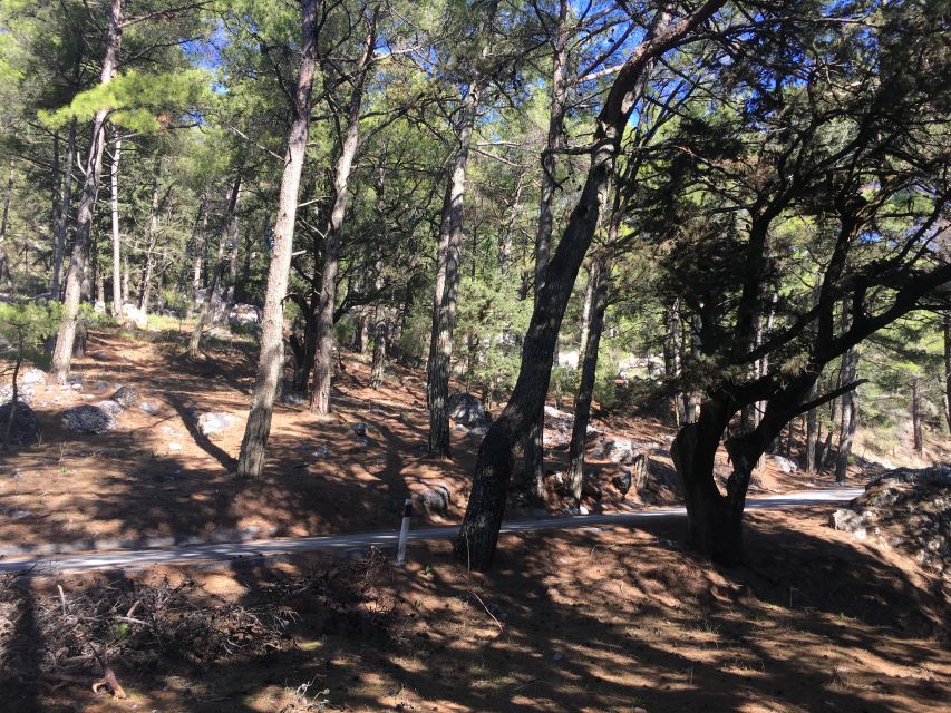 Rhodes: Full–Day 4WD Northern Safari Tour - From Rhodes Town toward Kolymbia