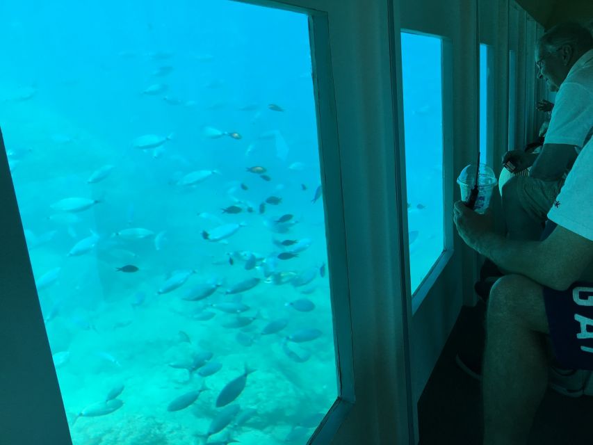 Rhodes: Hop-on Hop-off Bus and Submarine Tour - Is $41 good value?