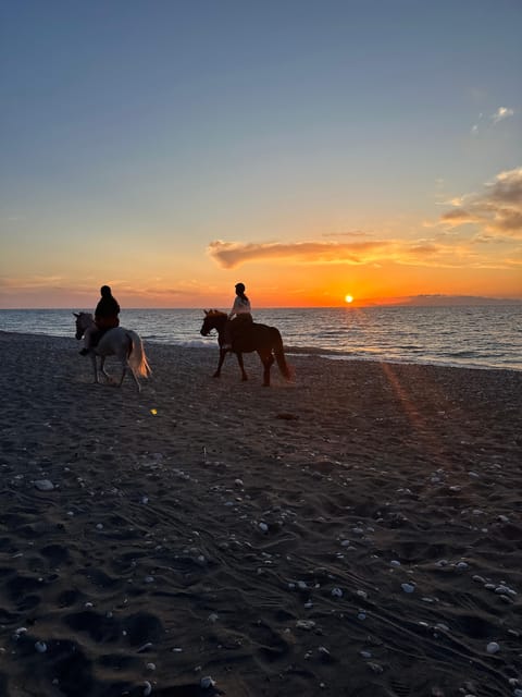 Rhodes: Horseback Riding Trip with Digital Photos - The sunset route to the shore