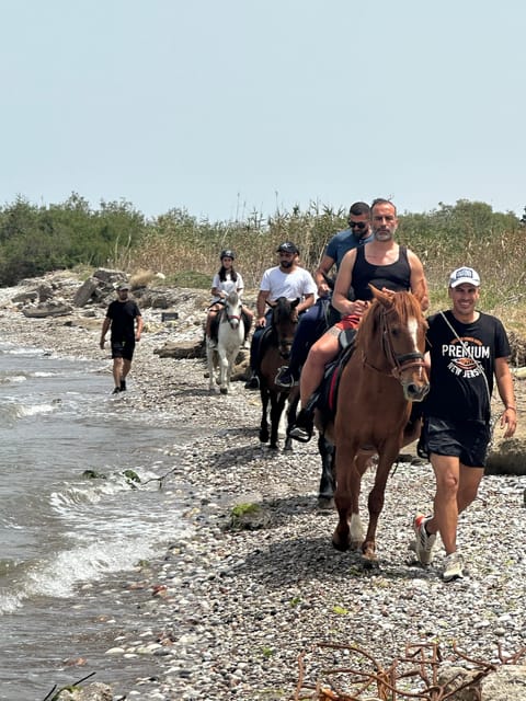 Rhodes: Horseback Riding Trip with Digital Photos - Safety, comfort, and the condition of the horses