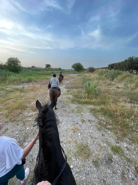 Rhodes: Horseback Riding Trip with Digital Photos - Is $90 a fair price?