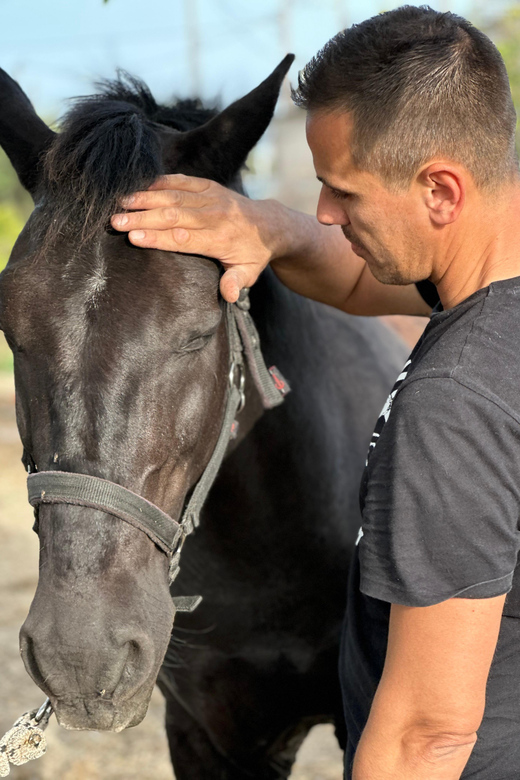 Rhodes: Horseback Riding Trip with Digital Photos - Morning or sunset: which should you choose?