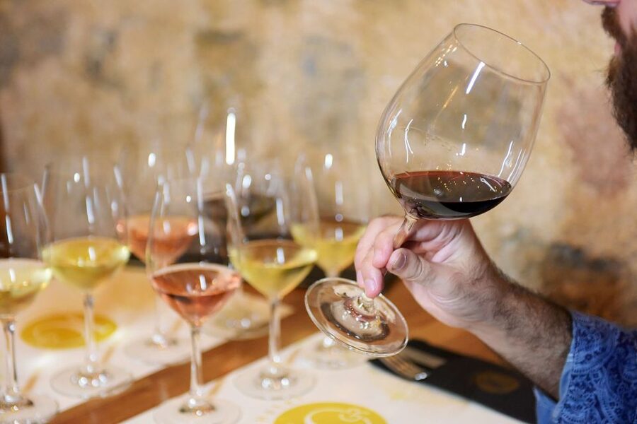 Rhodes: Private Wine Tasting Experience for Beginners - Timing, access, and booking details