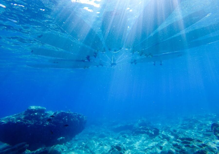 Rhodes: Stand-Up Paddleboard and Snorkeling Tour - A Greek snack at a quiet bay