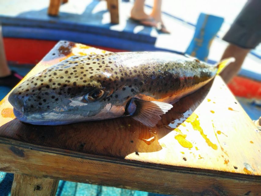 Rhodes Town: Fishing Boat Trip with Fish Meal and Swim Stops - Key points to know before you go