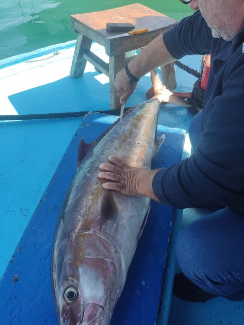Rhodes Town: Fishing Boat Trip with Fish Meal and Swim Stops - Why this Rhodes boat trip feels different