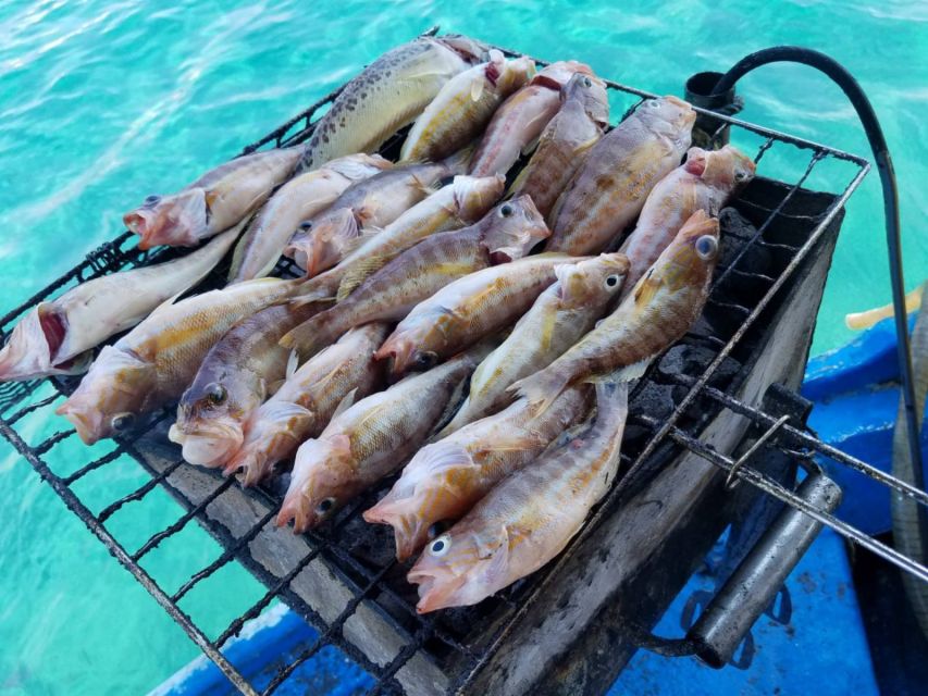 Rhodes Town: Fishing Boat Trip with Fish Meal and Swim Stops - Seeing Rhodes from the water