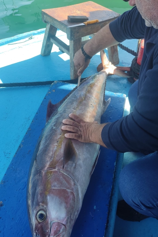 Rhodes Town: Fishing Boat Trip with Fish Meal and Swim Stops - Who should book this experience?