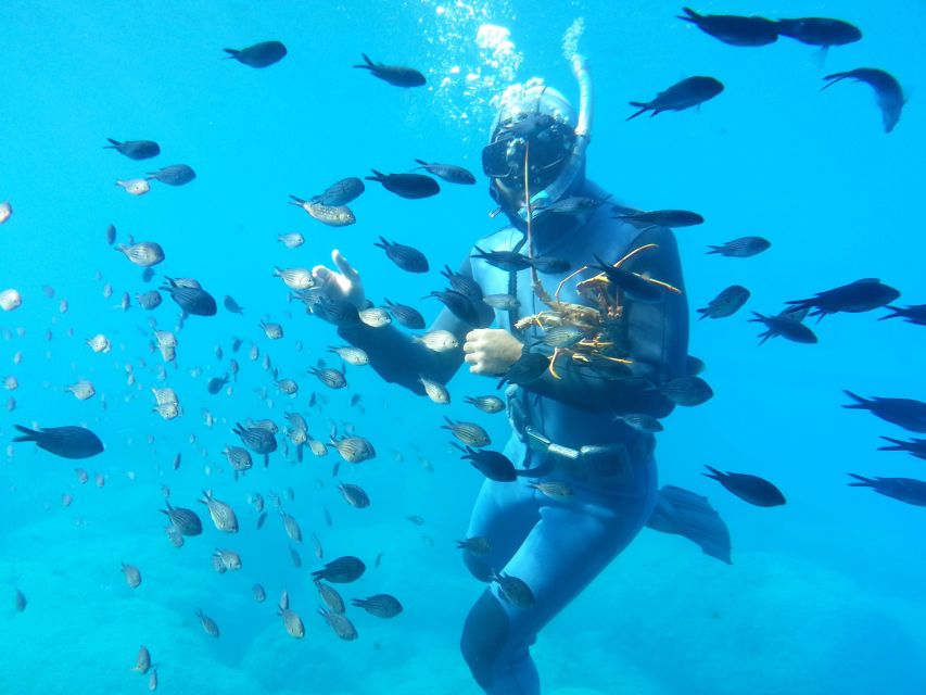 Rhodes Town: Yellow Submarine Cruise with Underwater Views - Five things to know before boarding