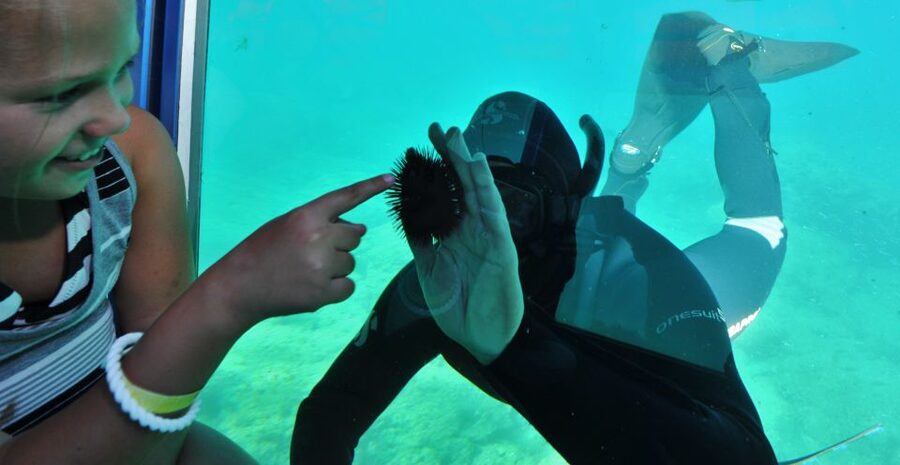 Rhodes Town: Yellow Submarine Cruise with Underwater Views - Finding the Yellow Submarine near Rhodes Courthouse