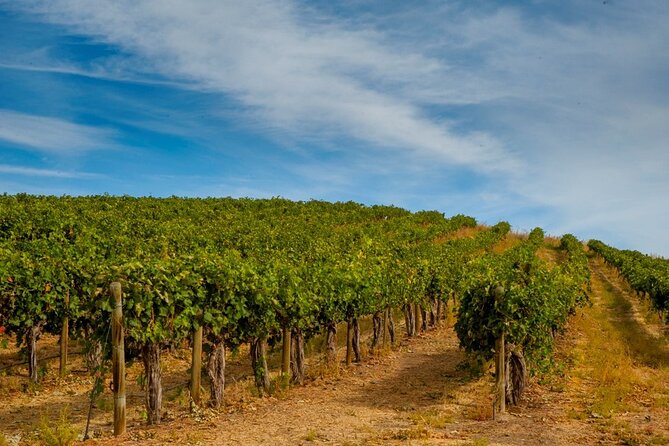 Rhodes Wine & Food Tour: 10 Meal Course Lunch, Wine Tasting, Cooking Class - The cooking lesson: three dishes, not ten courses