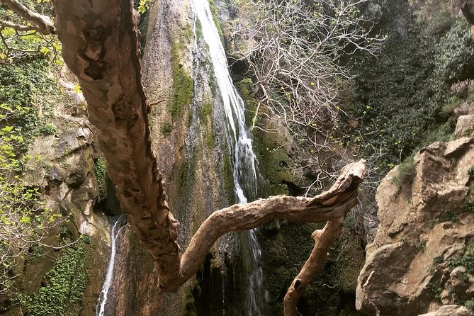 Richtis Waterfall, History, Azoria, OliveTasting, NorthCoast - Key points at a glance