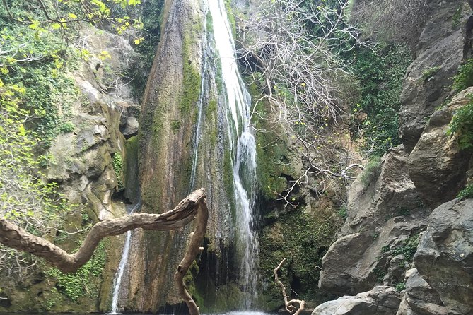 Richtis Waterfall, History, Azoria, OliveTasting, NorthCoast - Olive oil, family production, and a Cretan lunch