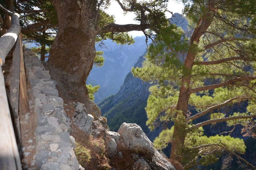 Samariá Gorge Hike: Day Excursion from Chania - Leaving Chania for the Samariá Gorge