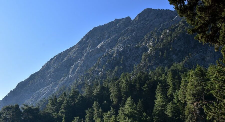 Samariá Gorge Hike: Day Excursion from Chania - What the 18-kilometer trail demands