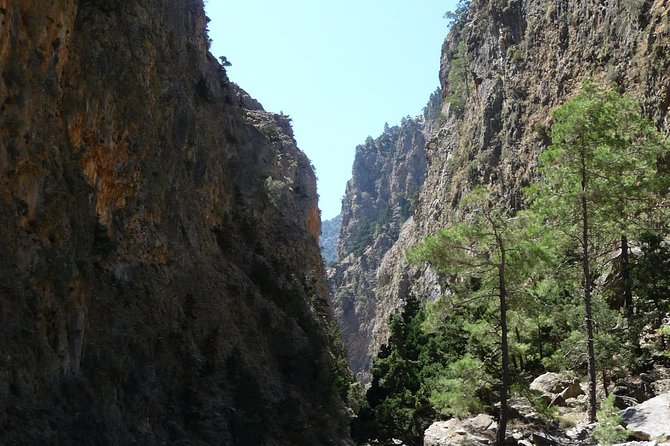 Samaria Gorge Trek: Full-Day Excursion from Rethymno with Guide - The ferry to Sfakia and the bus home