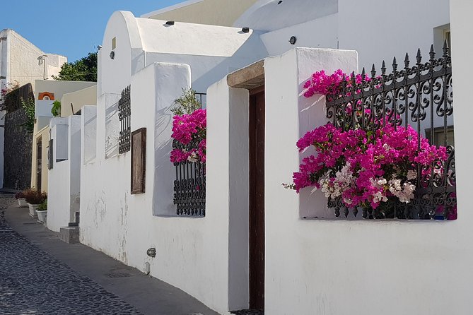 Santorini: 6hr Small Group Shore Excursion Villages & Wine - What $156.19 buys you