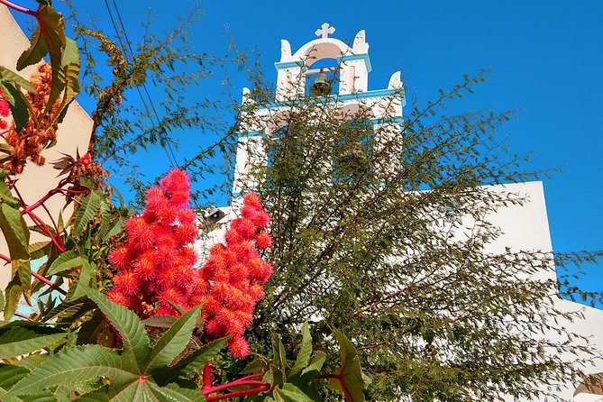 Santorini Day Tour with Sunset in Oia - The winery is more than a tasting pause