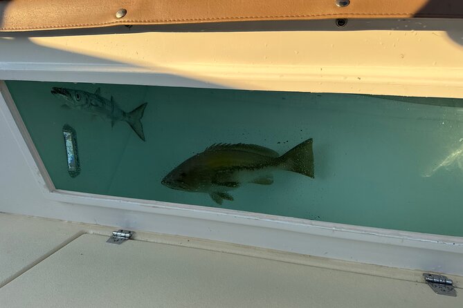 Santorini Fishing Private Cruise boat tour - BBQ, Snorkeling - Who will enjoy this most