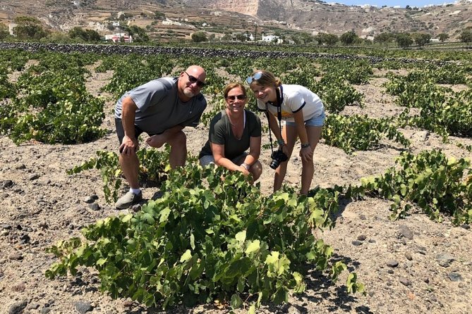 Santorini Highlights: 5-Hour Private Tour with Wine-Tasting - Art Space and the volcanic wine tasting