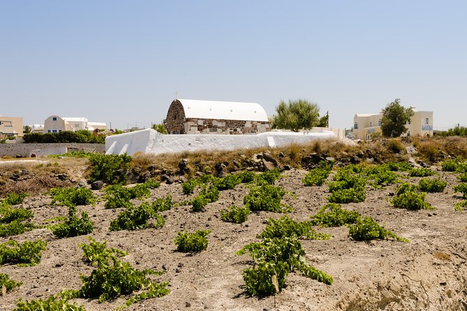 Santorini Highlights and Venetian Castles Small-Group Day Tour - Akrotiri’s southern caldera viewpoint