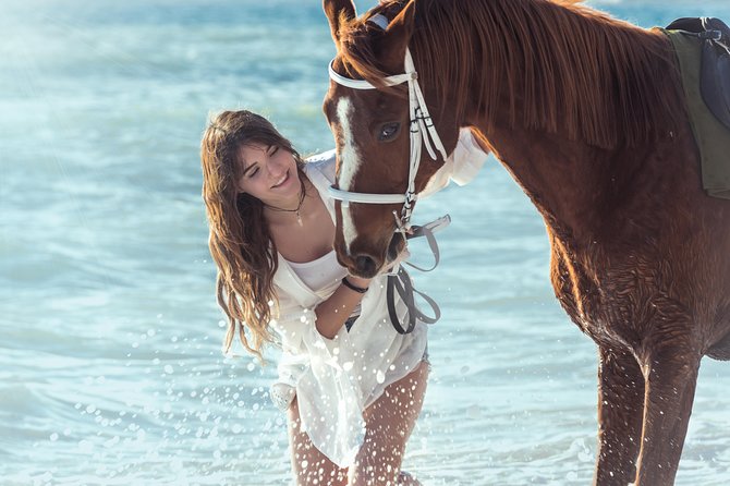 Santorini Horse Riding to Black Sandy Beach - Horses, safety, and comfort