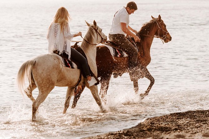 Santorini: Horse Riding to the Black Sandy Beach (Eros beach) - From Megalochori vineyards to volcanic ravines