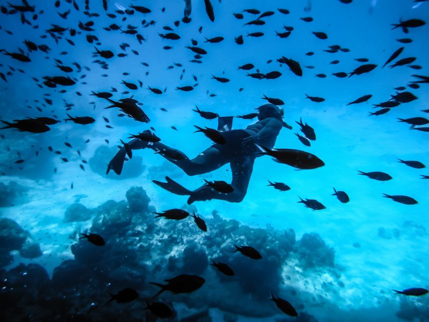 Santorini: Scuba Diving Experience for Beginners - Key points to know