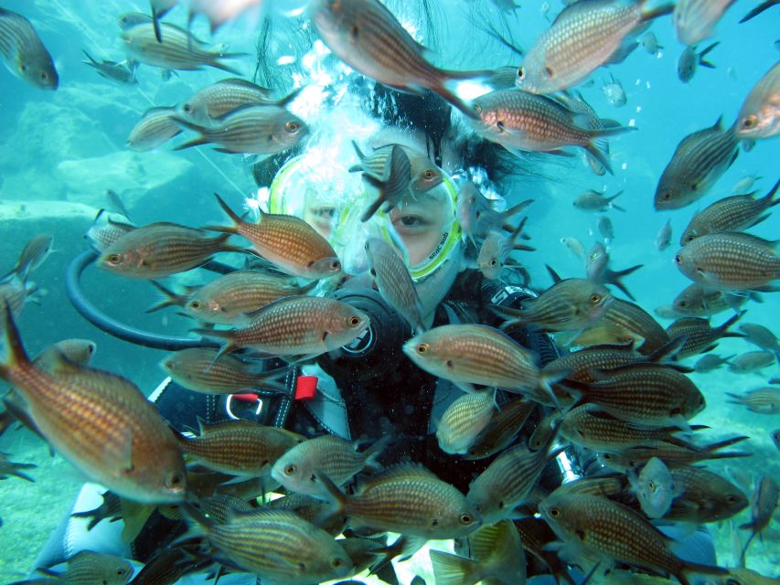 Santorini: Scuba Diving Experience for Beginners - What the instructors do well