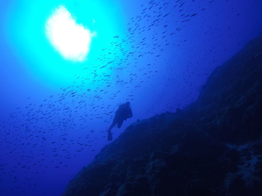 Santorini: Scuba Diving Experience for Beginners - Timing, group size, and the waiting issue