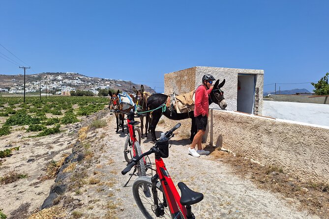 Santorini Small Group Guided E-bike Tour & Local Tomato Museum - Megalochori and a taste of village life