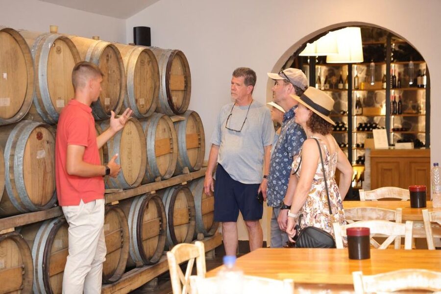 Santorini: Tour of Wineries with Wine Tasting & Food - Who should book this experience?