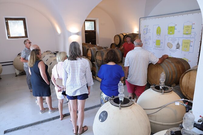 Santorini Wine Stories: Daytime Tour with Tasting & Lunch - Eight tastings that make comparison possible